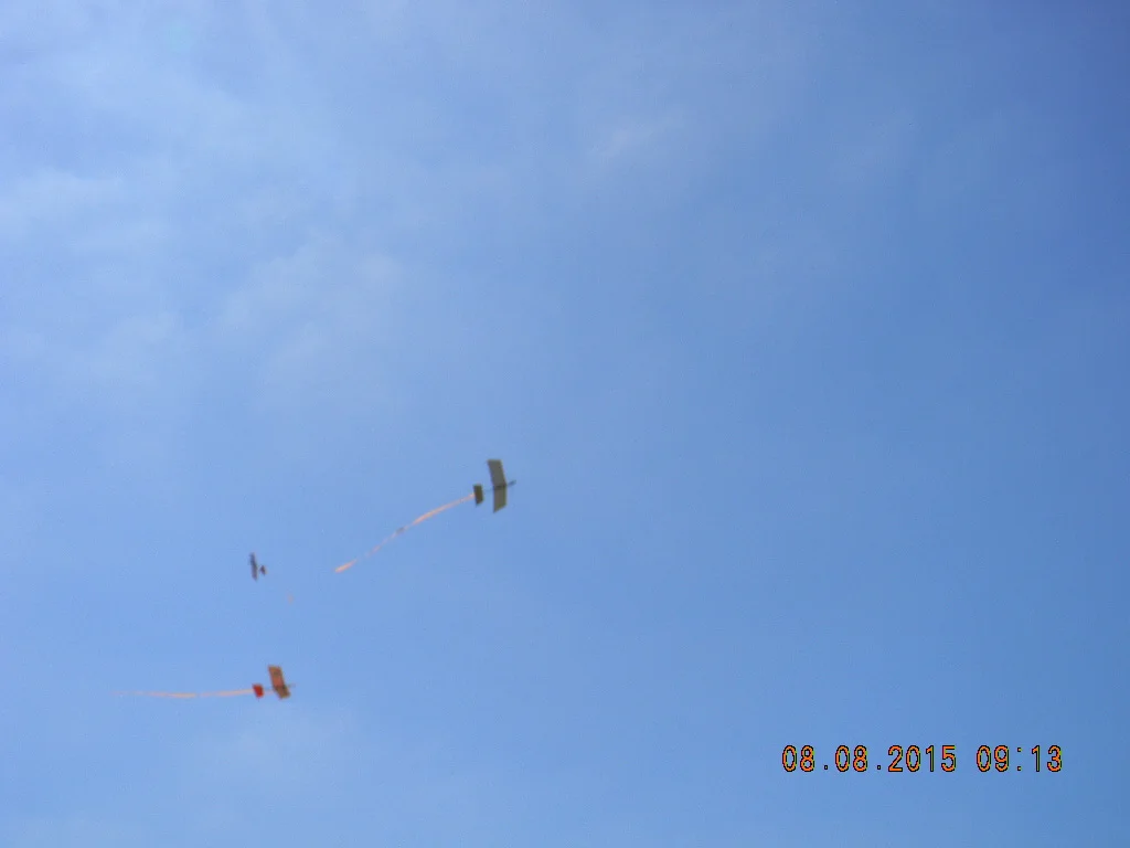 2015-08-08 Silentfliers Annual Picnic at Eldorado Park 060.jpg