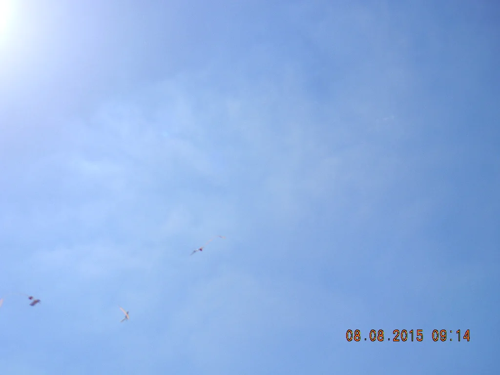 2015-08-08 Silentfliers Annual Picnic at Eldorado Park 062.jpg