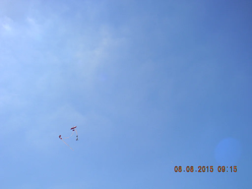 2015-08-08 Silentfliers Annual Picnic at Eldorado Park 065.jpg