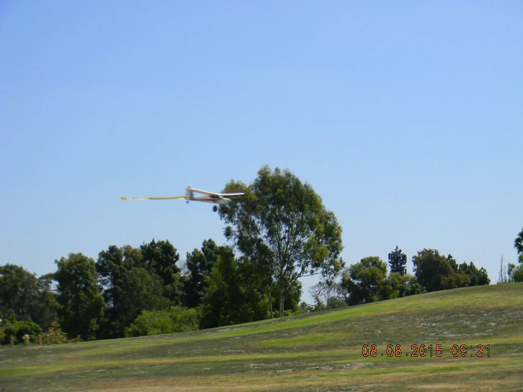 2015-08-08 Silentfliers Annual Picnic at Eldorado Park 071.jpg