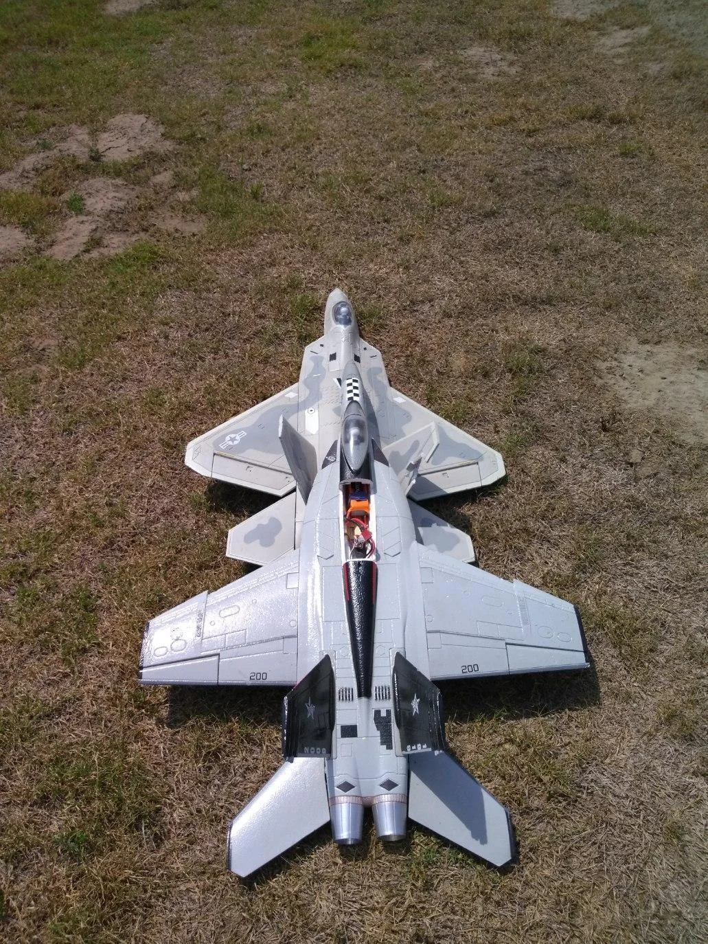 F 22 & F 18.jpg