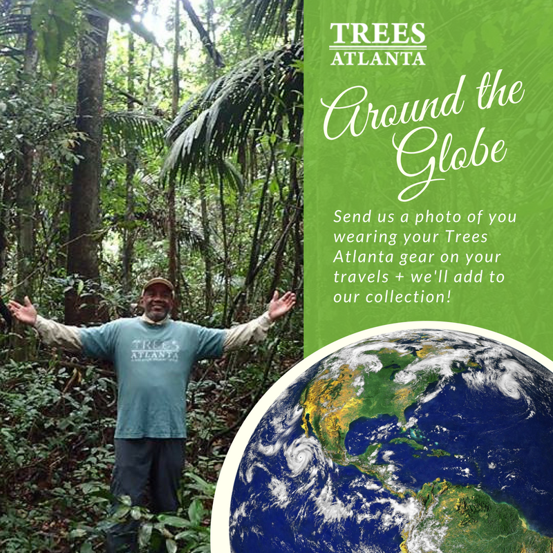 TA around the globe.png