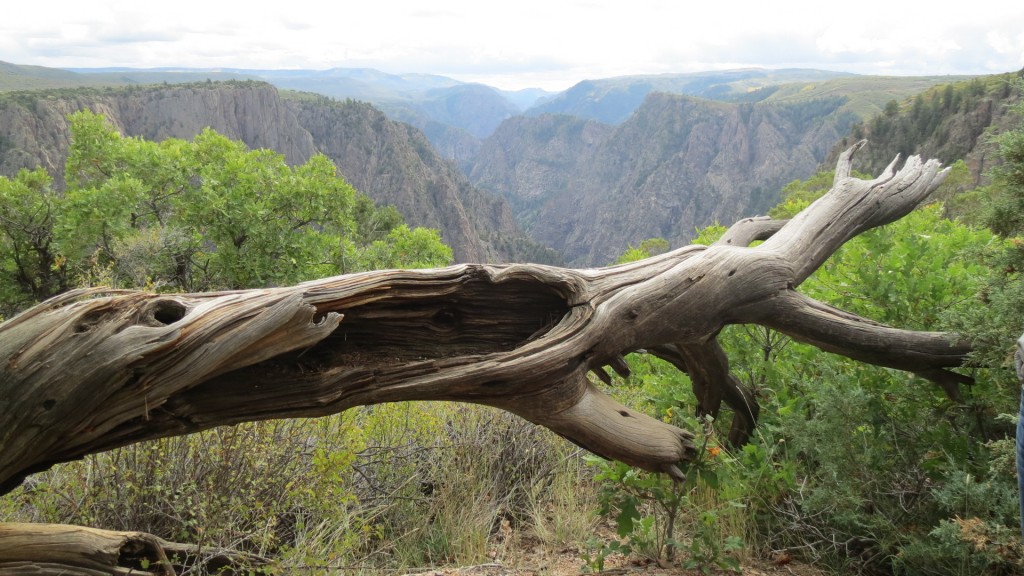 Black Canyon of the Gunnison National Park. He had “a feeling” about it and that feeling turned out to be awe.