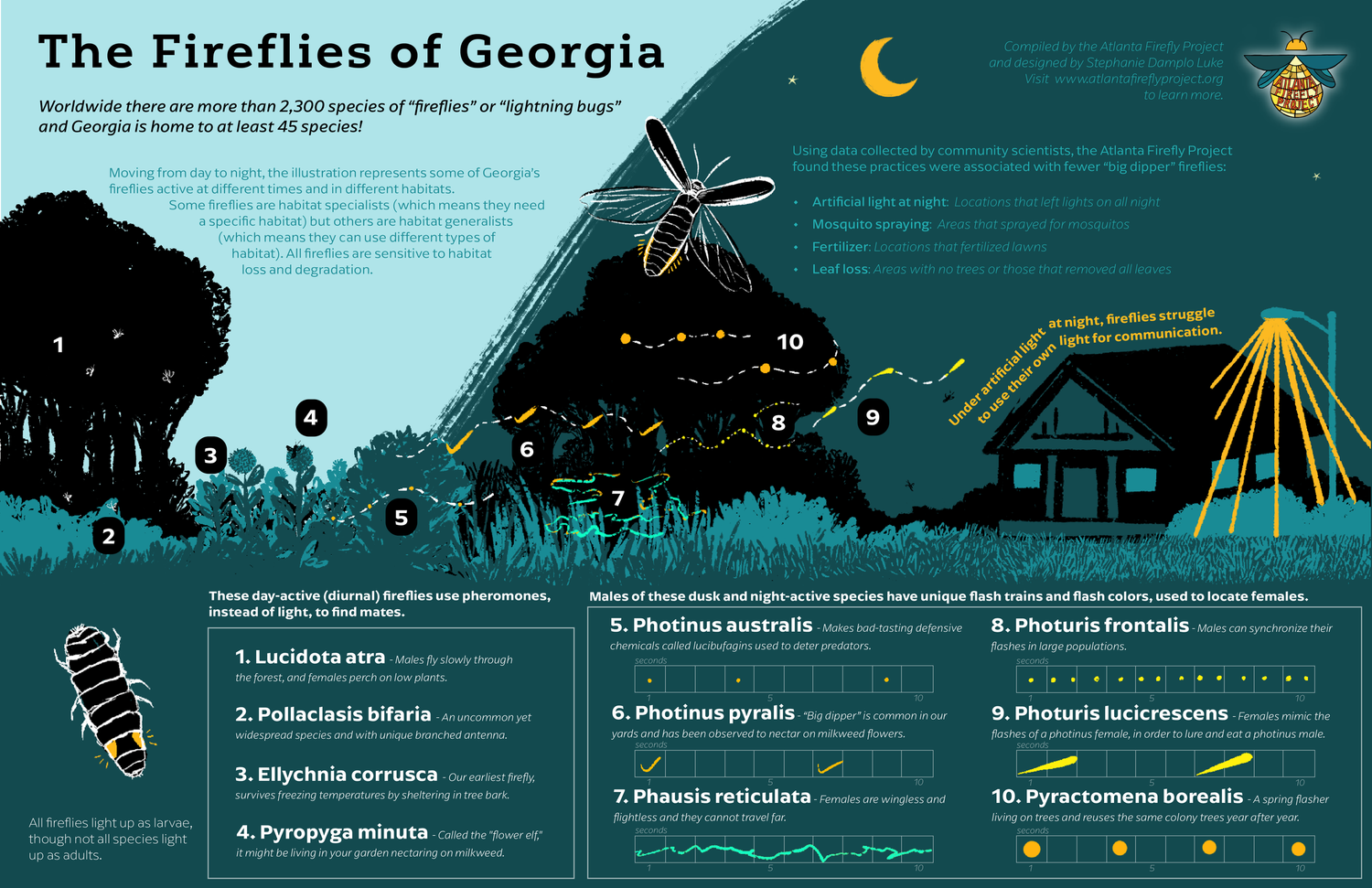 The Fireflies of Georgia