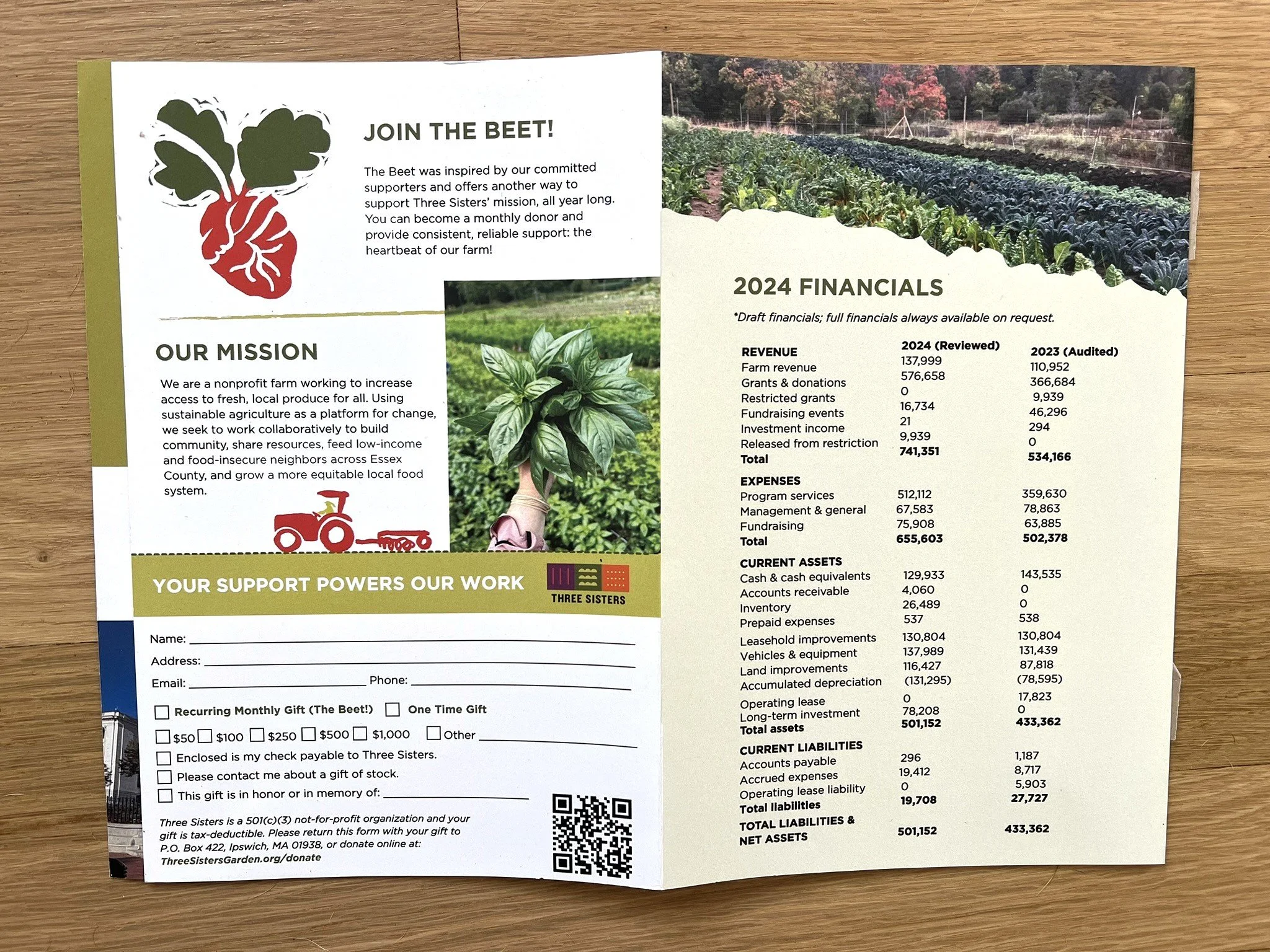 IMG_1769 brighter.JPEG