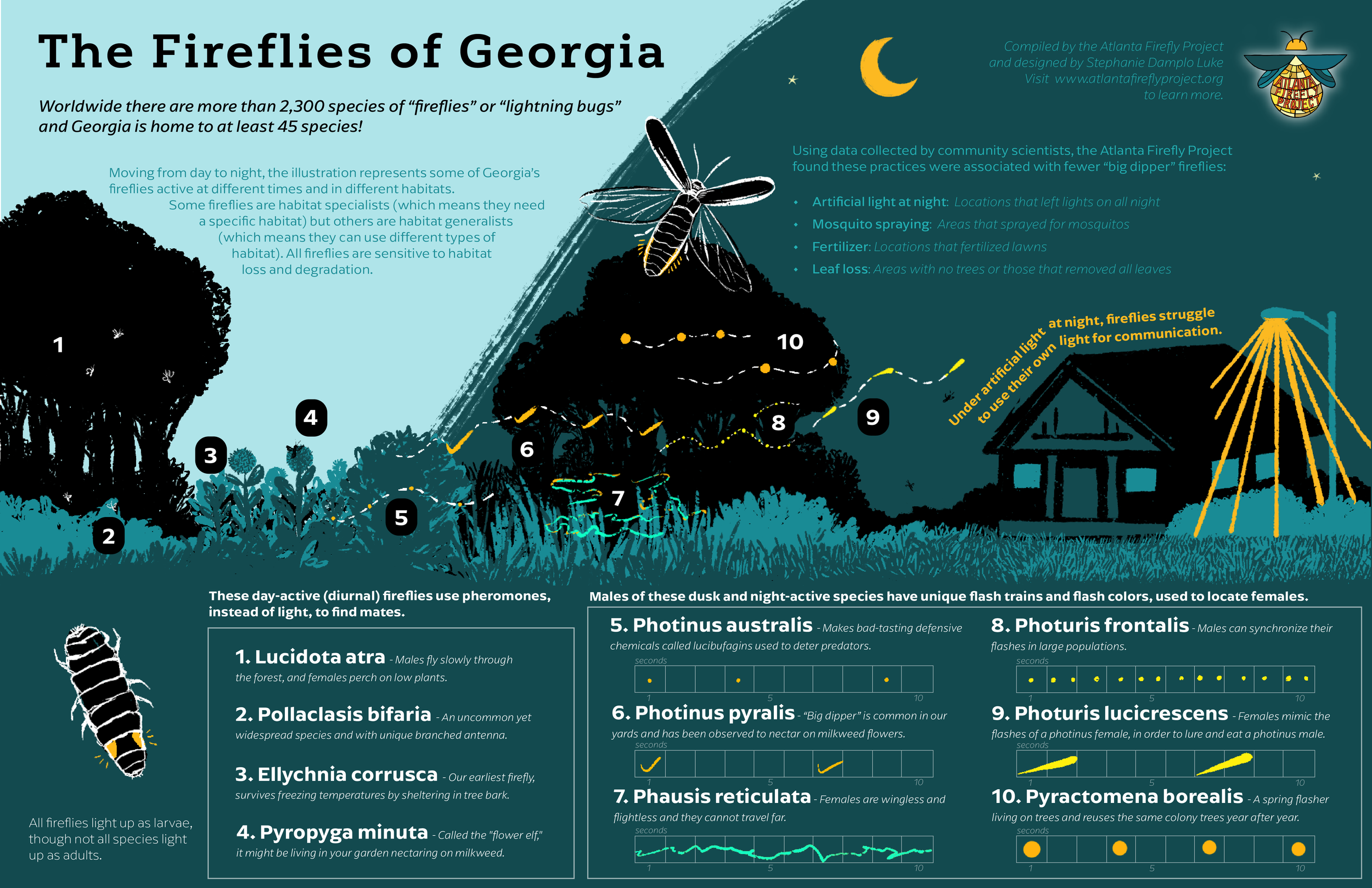 5.4 Atlanta_Fireflies_Project_Poster_Final.png