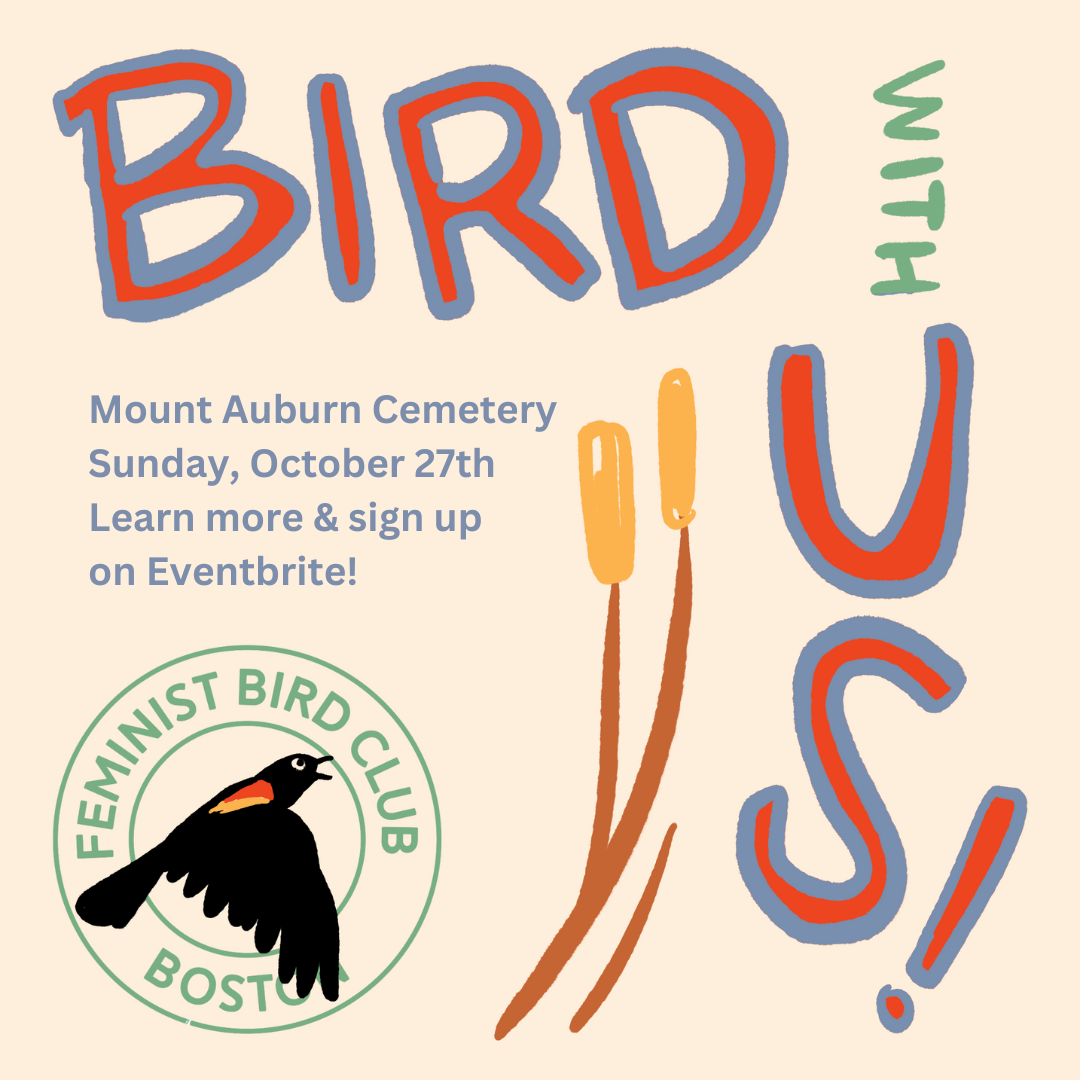 Red wing blackbird.png