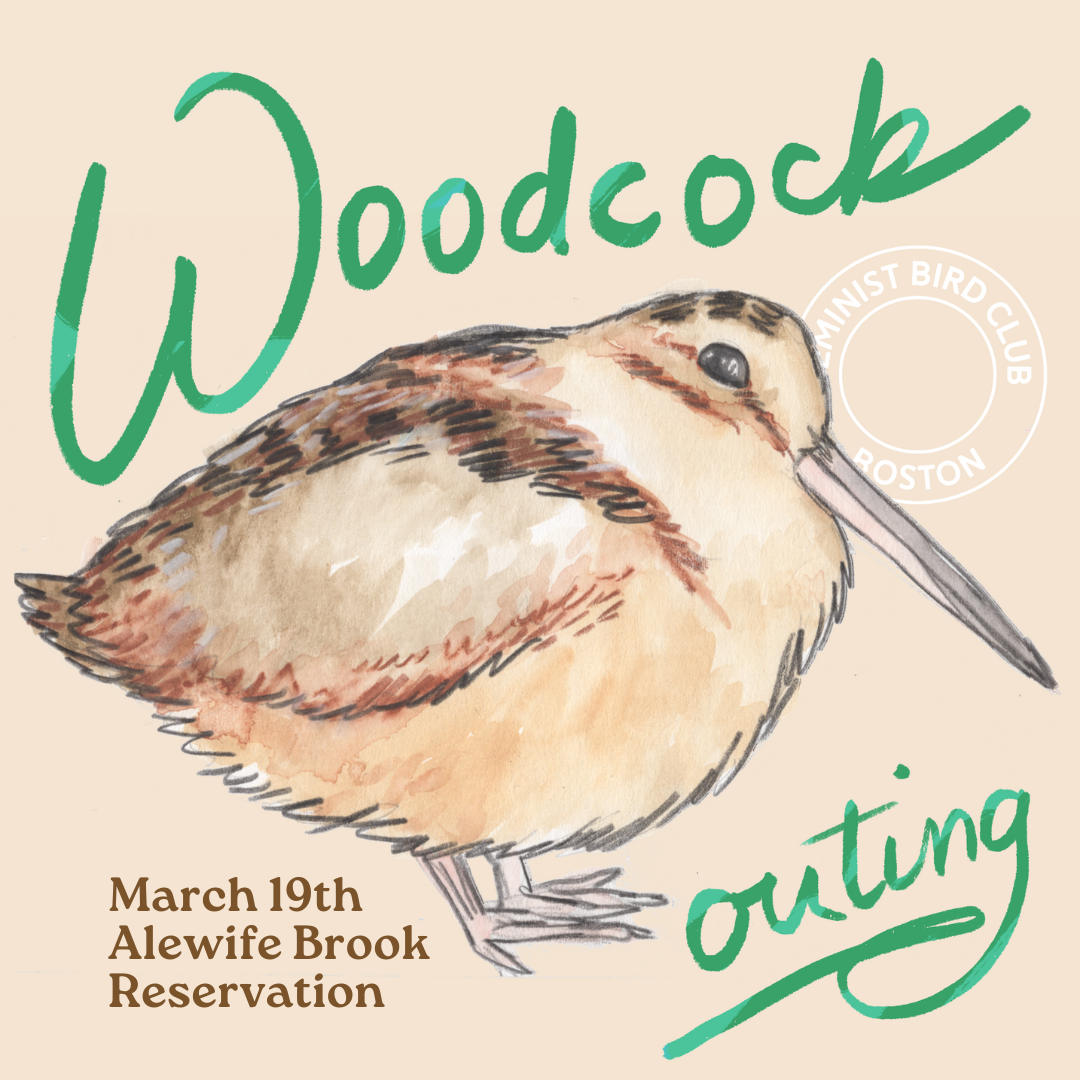 FBC Instagram Graphics (2).png