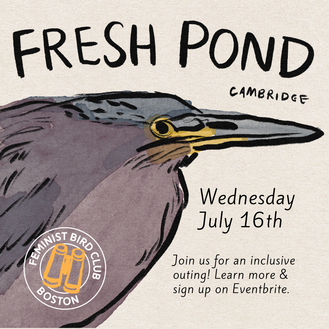 FBC Instagram Graphics (1).png