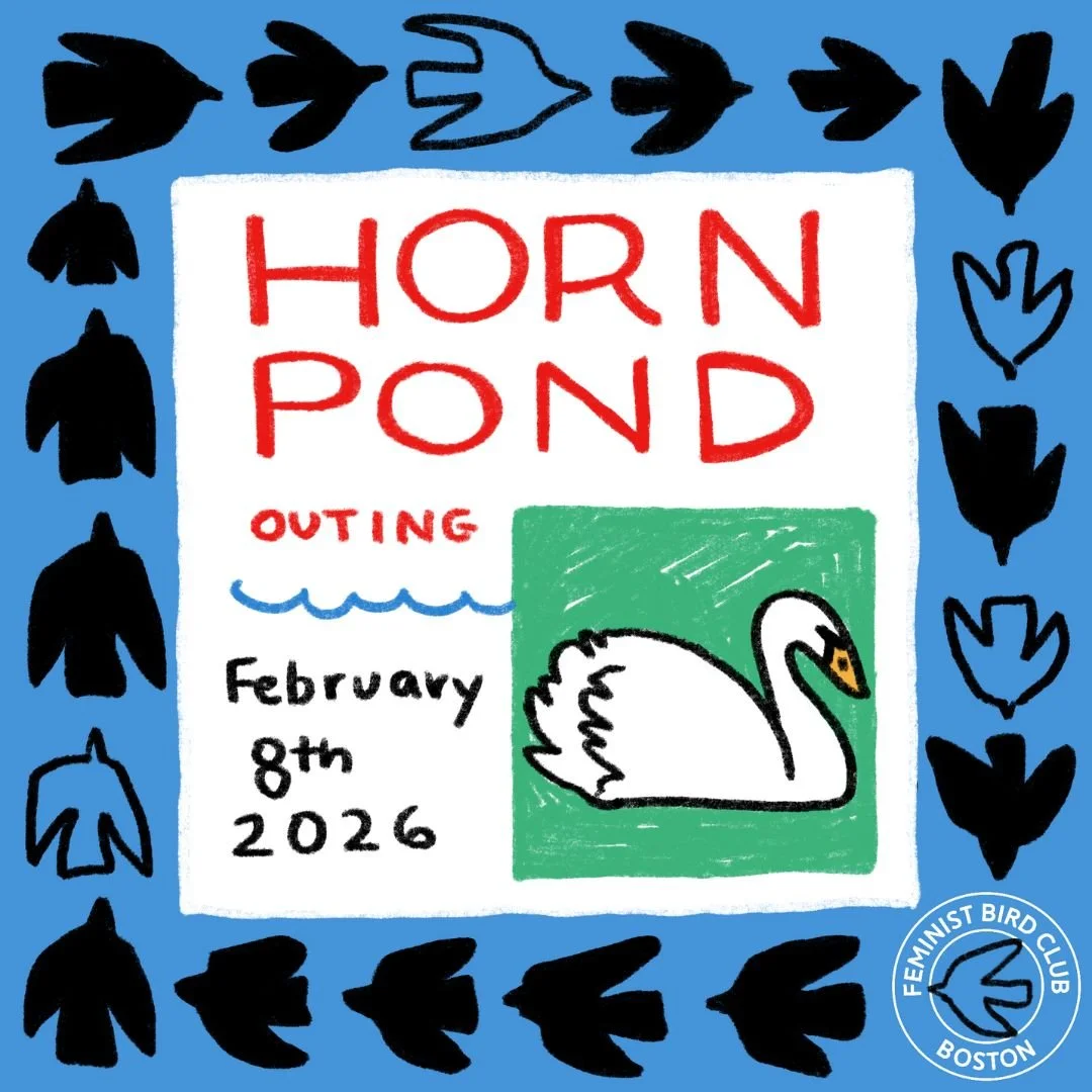 FBC Instagram Graphics.jpg