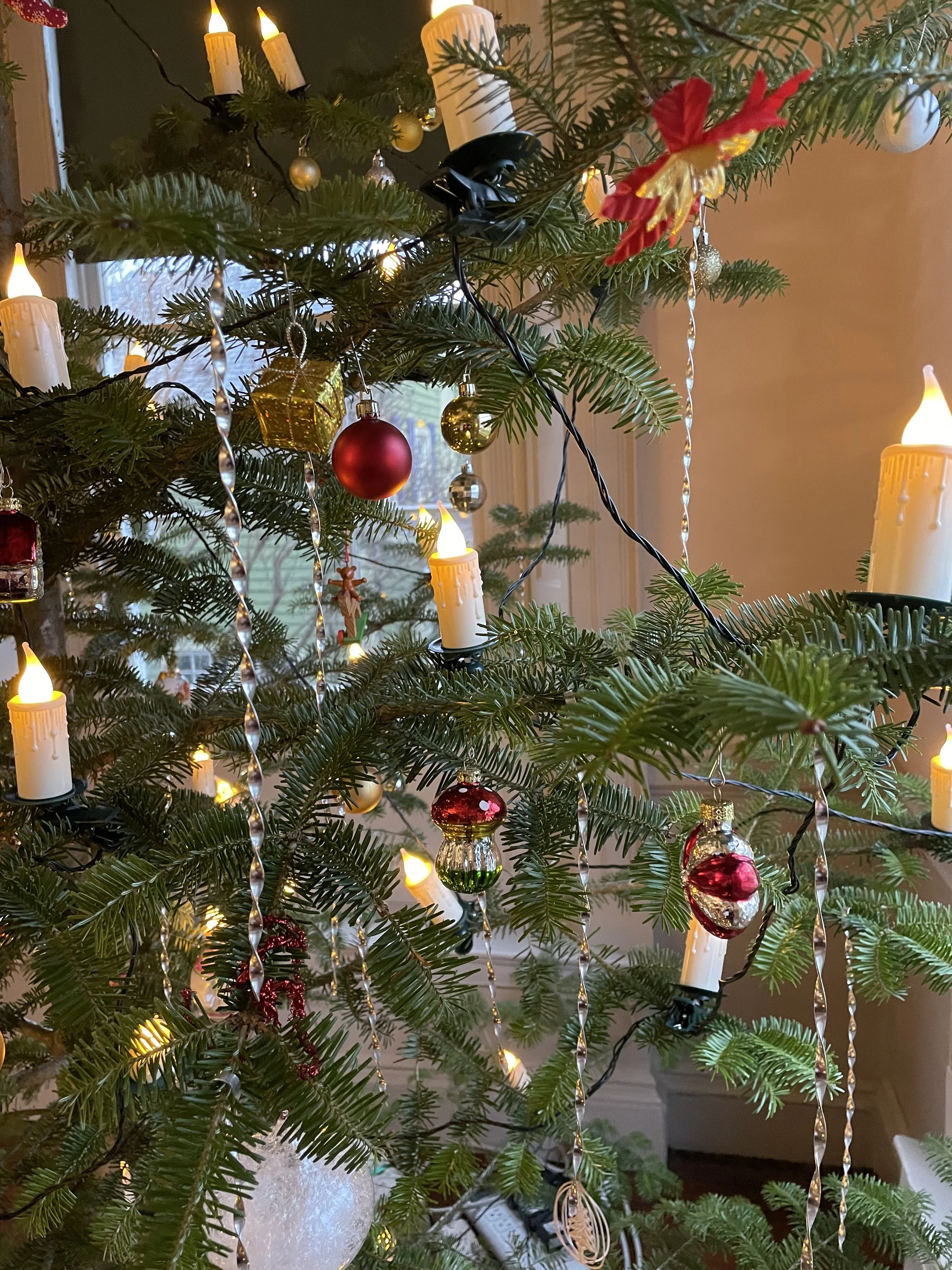 tree branch decorated.jpeg