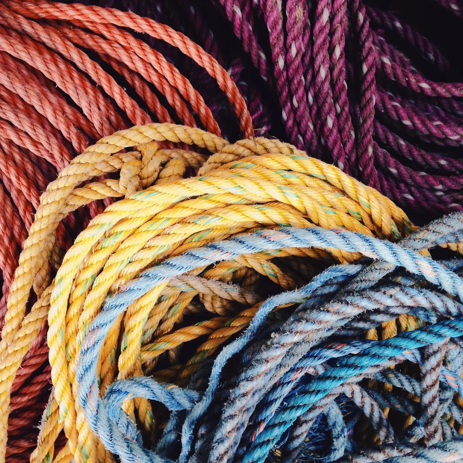 lobster trap rope.jpeg