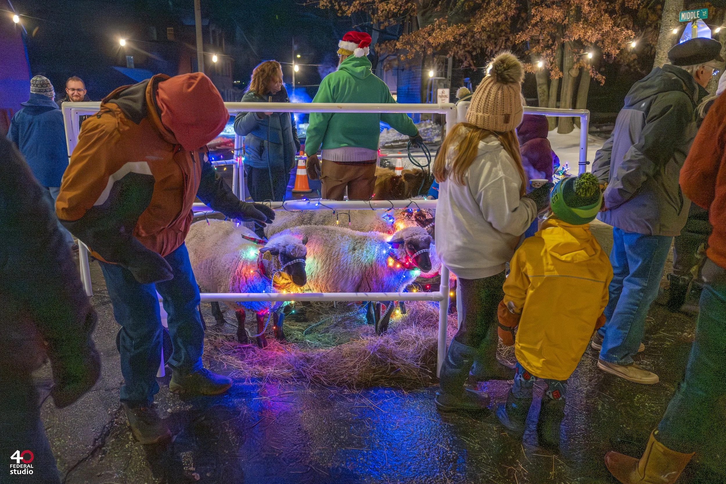 sheep, people (Bob Bond).jpg