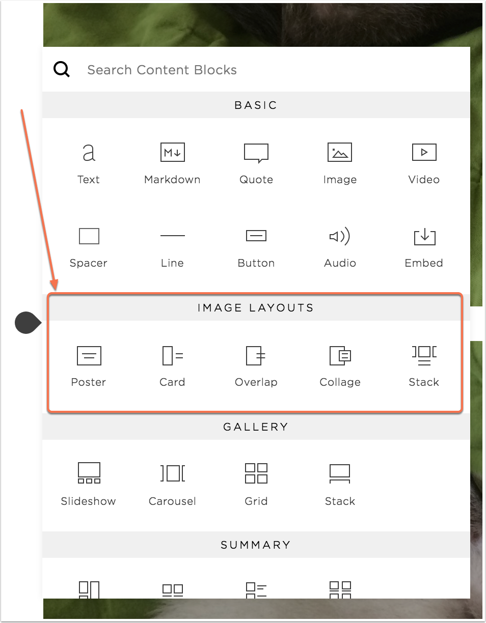 squarespace imgs 2.png