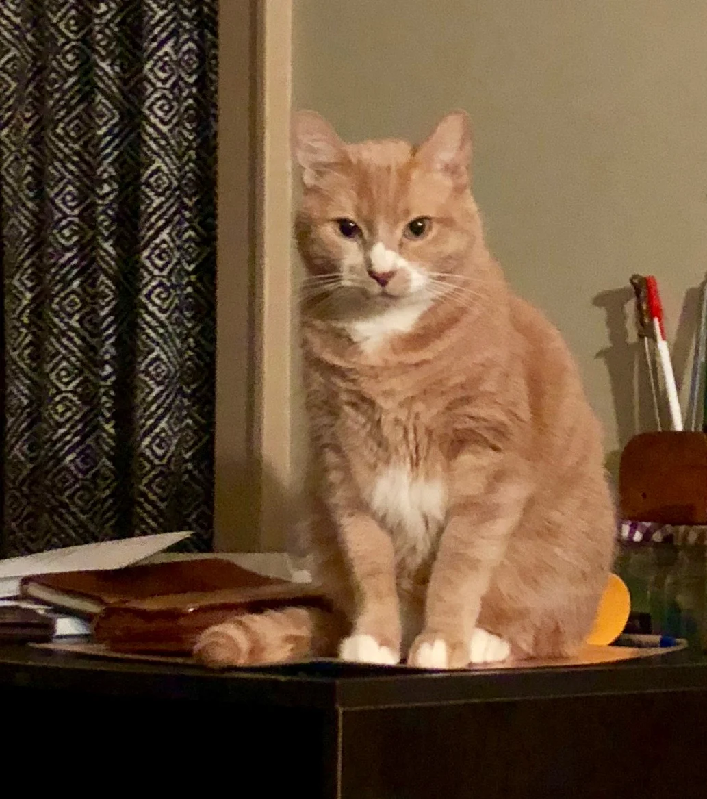 The one and only Wheaty!