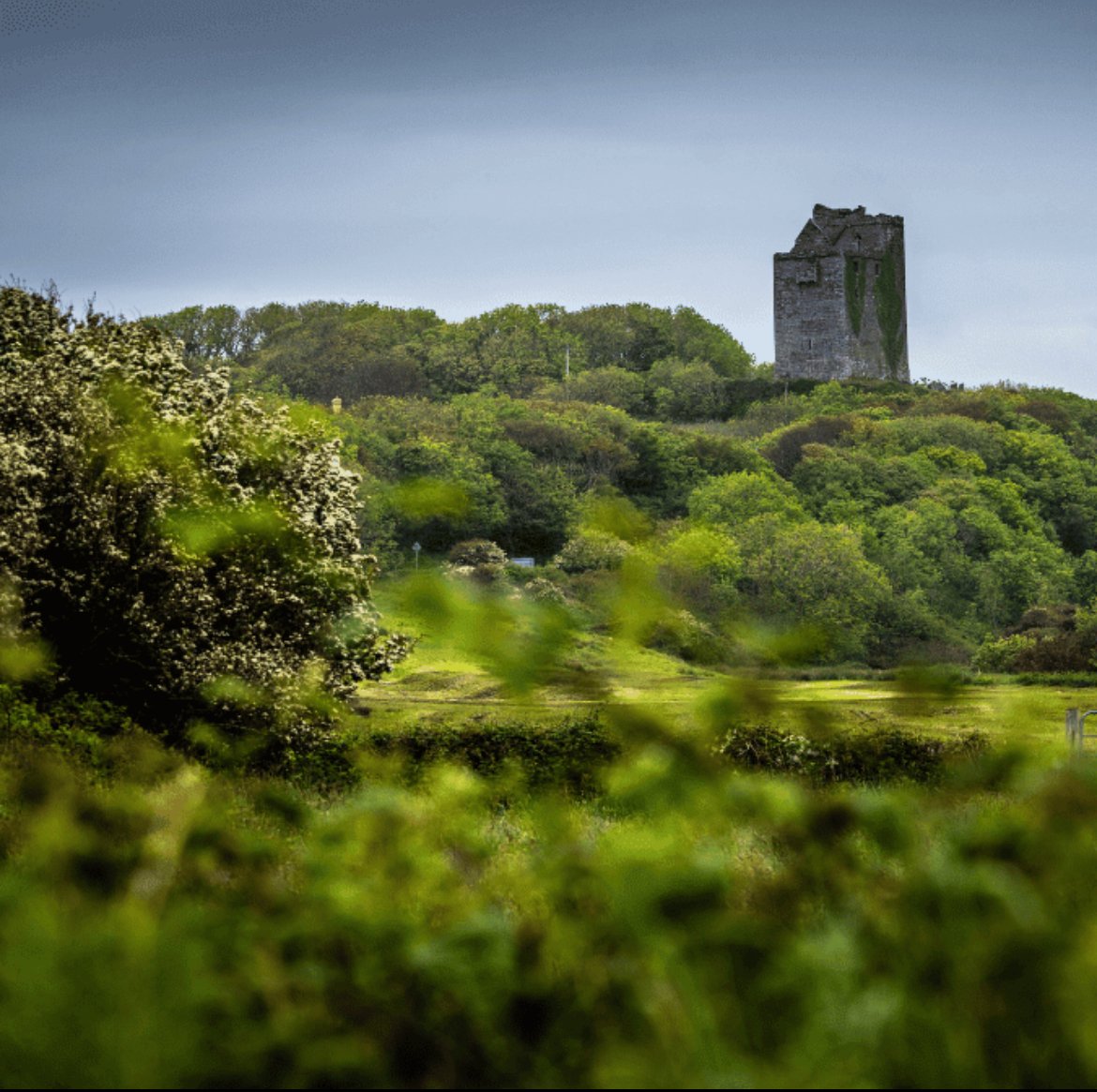 Ireland Tower.jpg