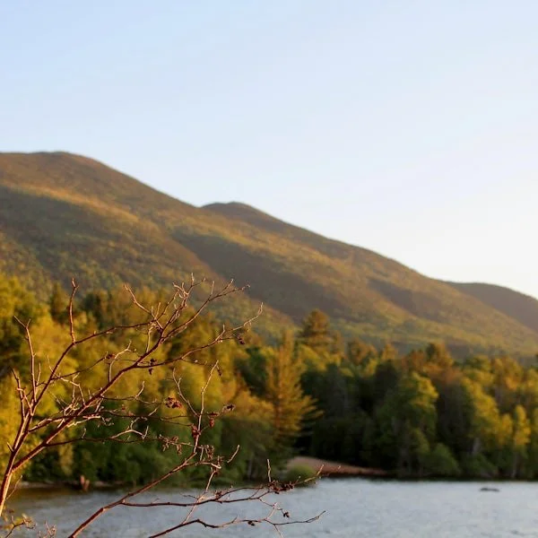 Maine Mountain Colors.JPG