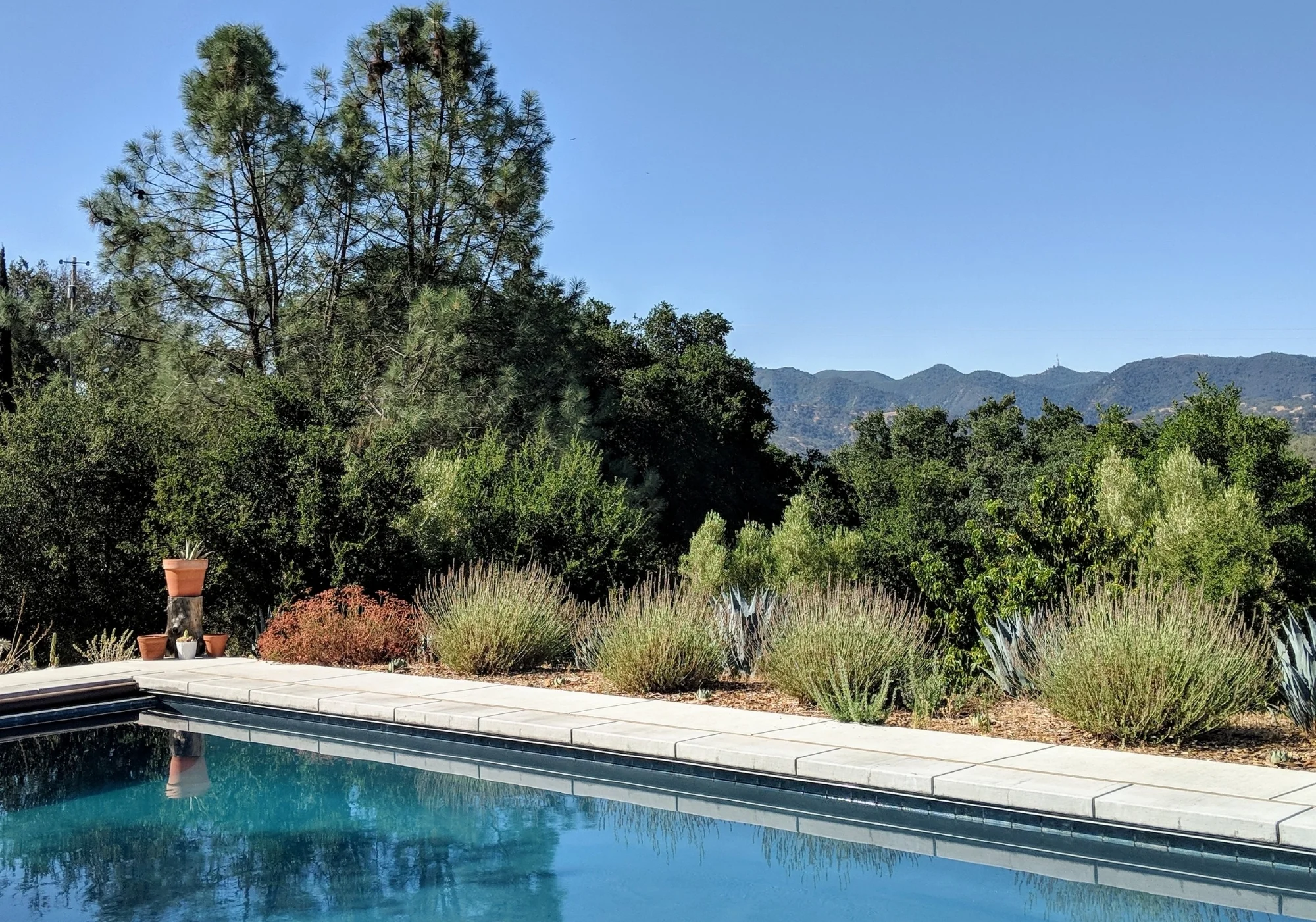 CA01.jpg