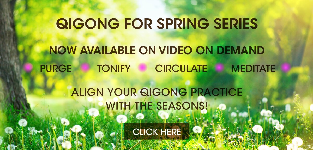 NEW-spring-cover-Banner-1-1.jpg