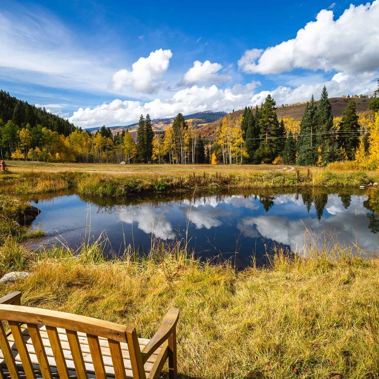 Land-Fall TranquilityA.jpeg