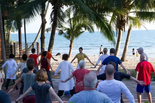 YOQI Module 1 Live Immersion Tuition (Chiang Mai)