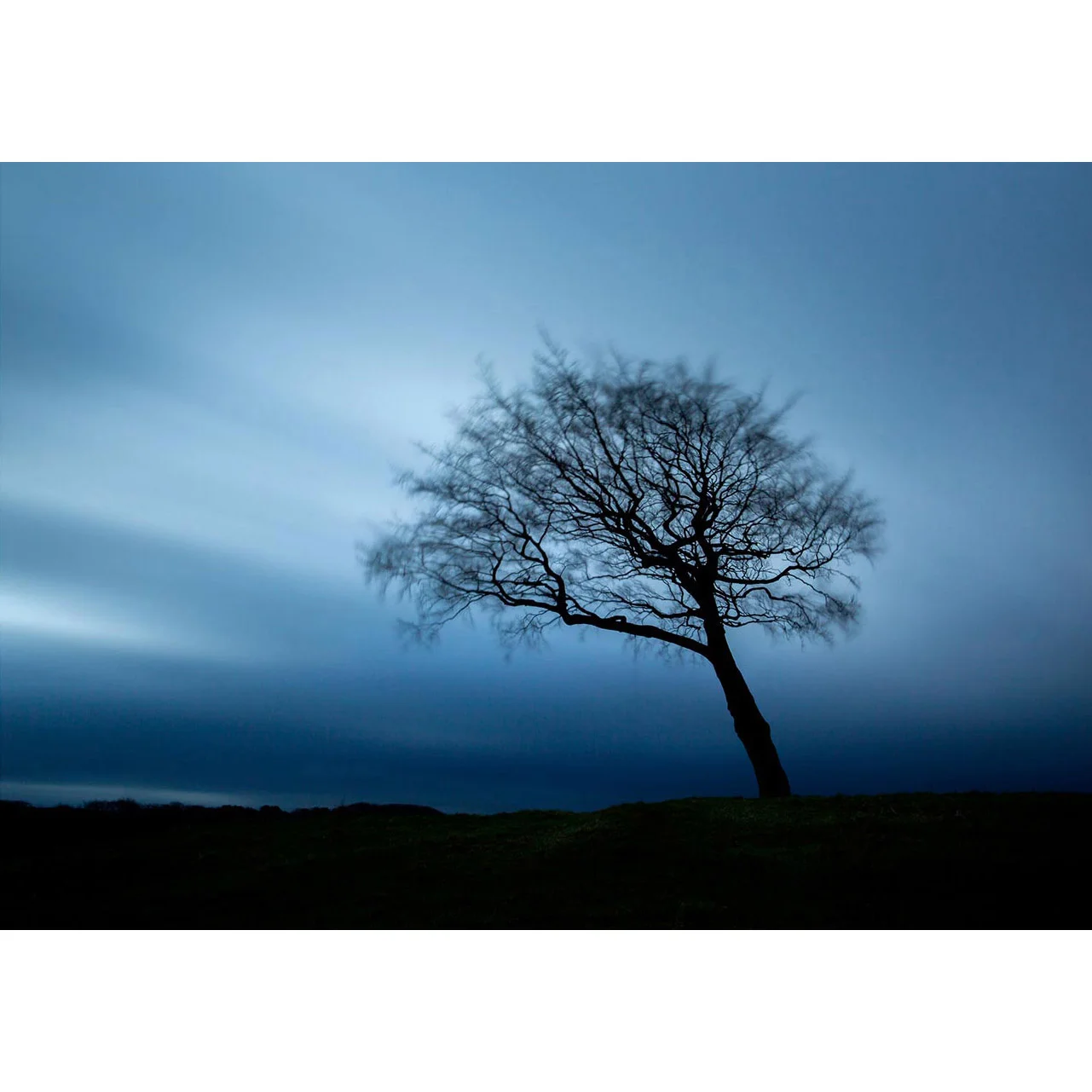 the-hanging-tree.jpg