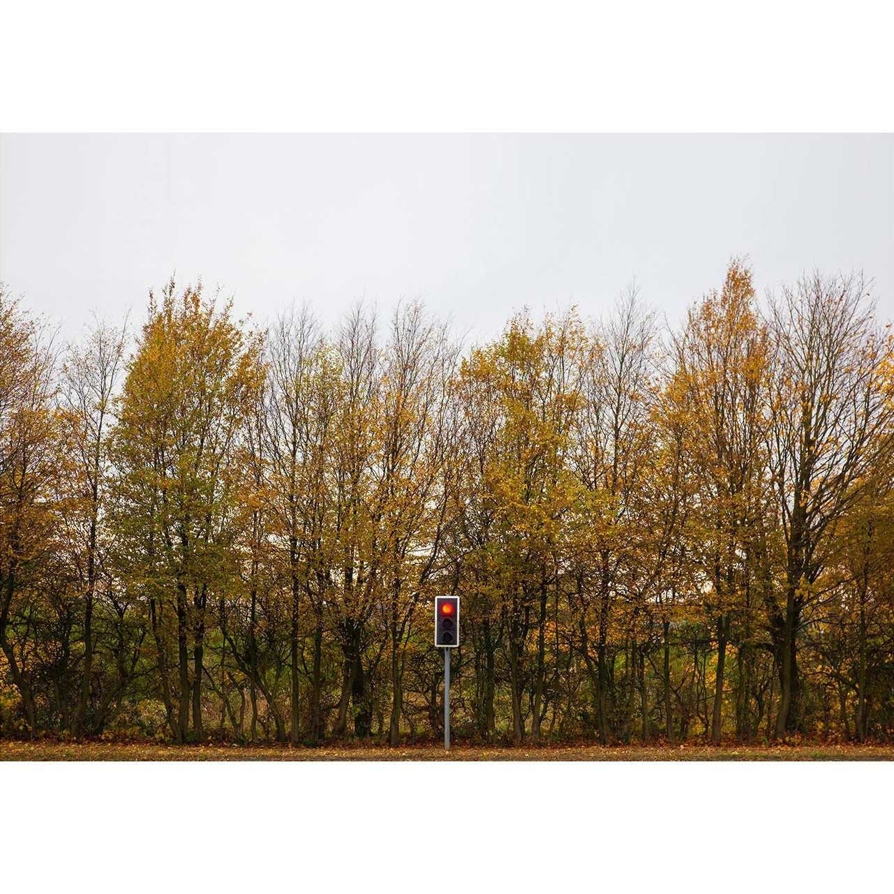 the-end-of-the-road.jpg
