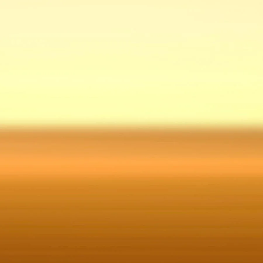 the-fields_02.jpg