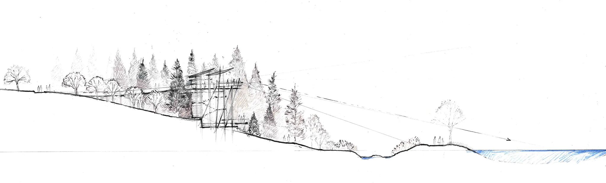 section_sketch crop 2.jpg