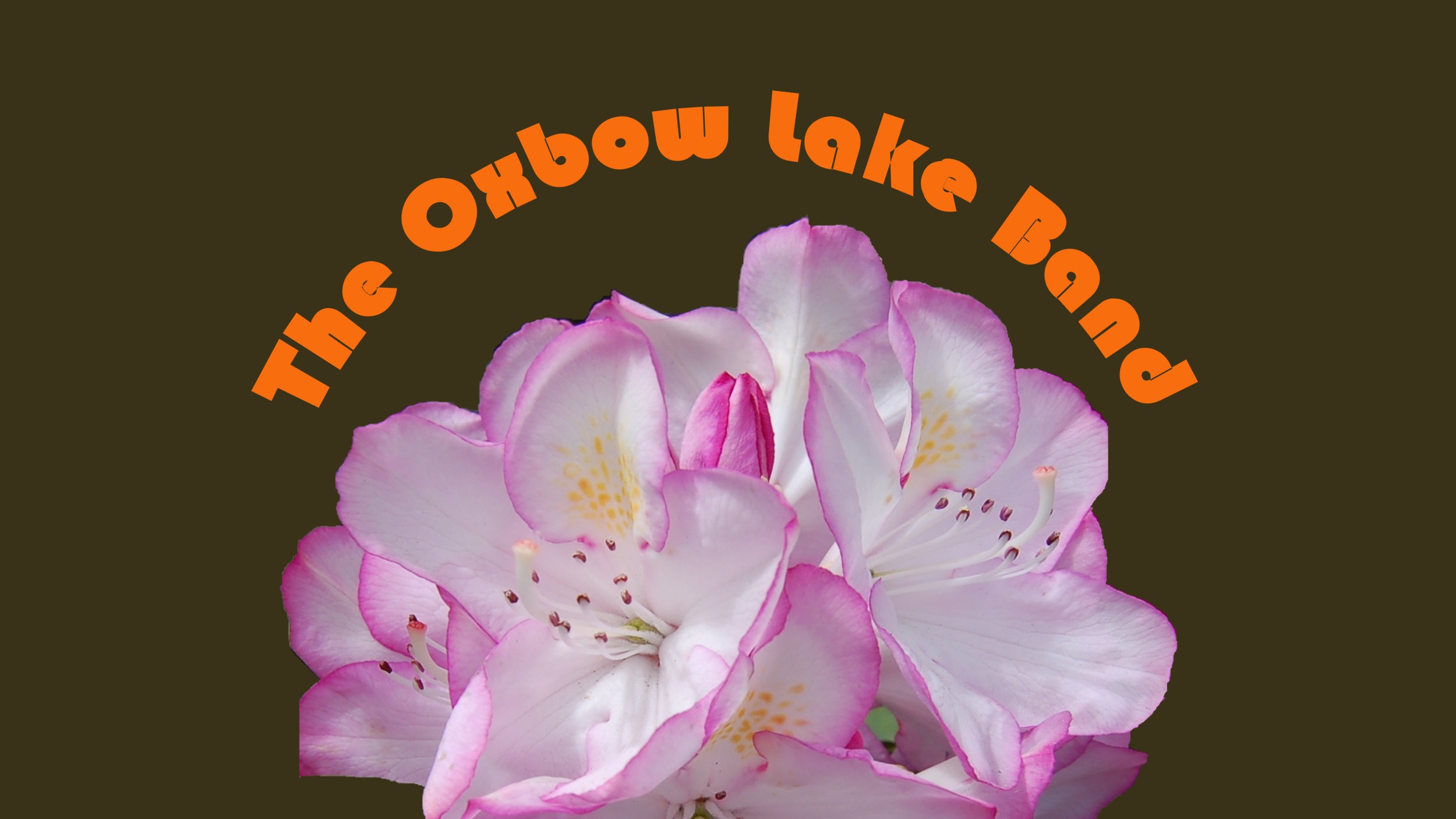 oxbow lake band tour