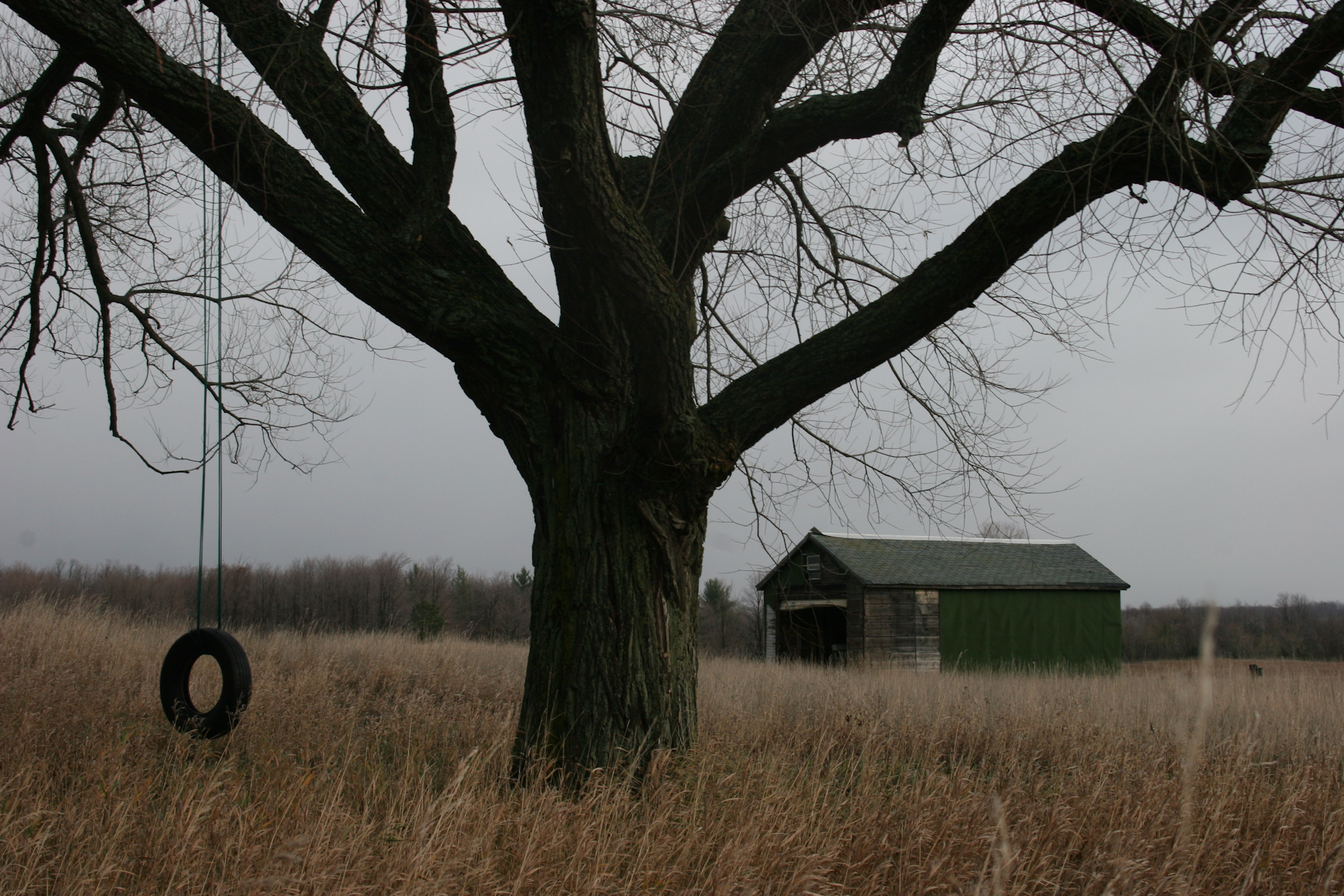 Nature-05.jpg