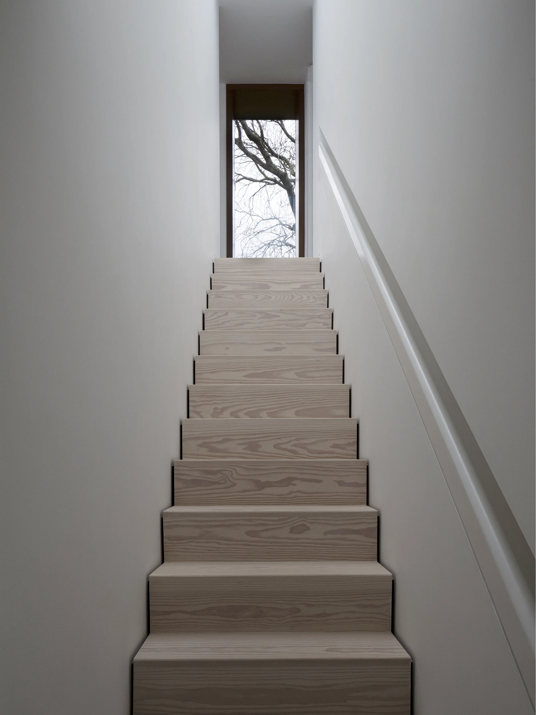 Ash House