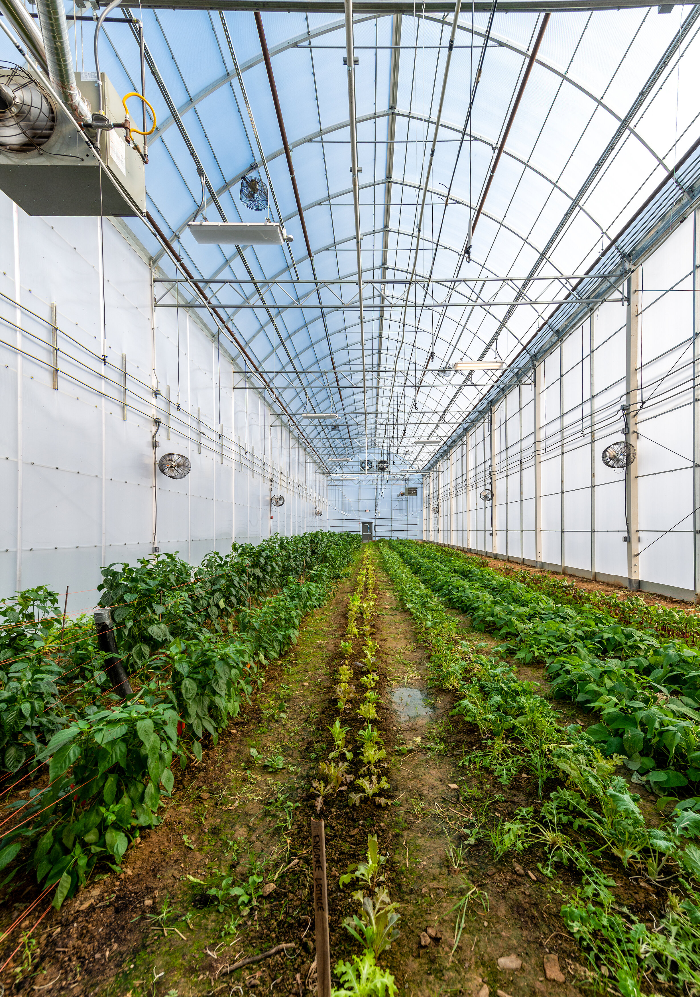 Greenhouses-005.jpg