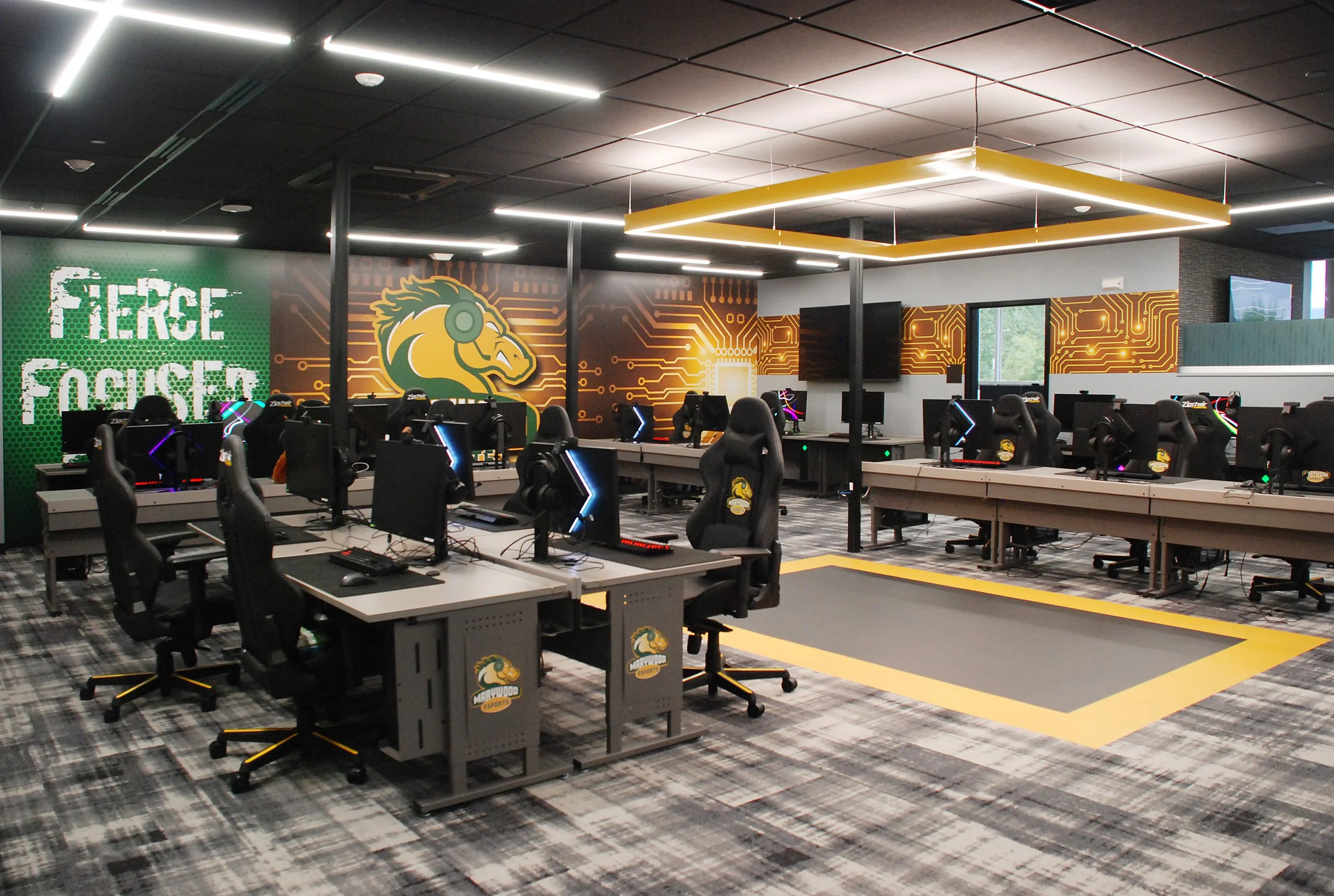 Marywoood University Esports