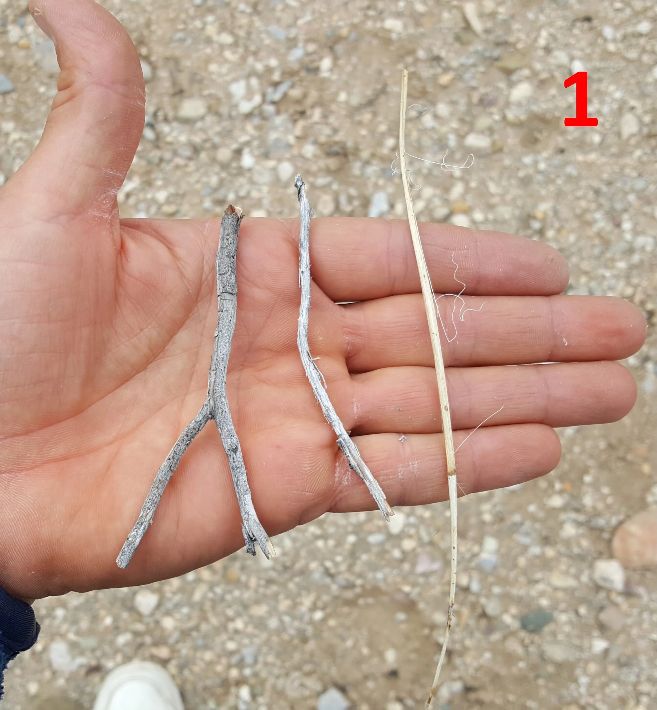 Stick 1.jpg