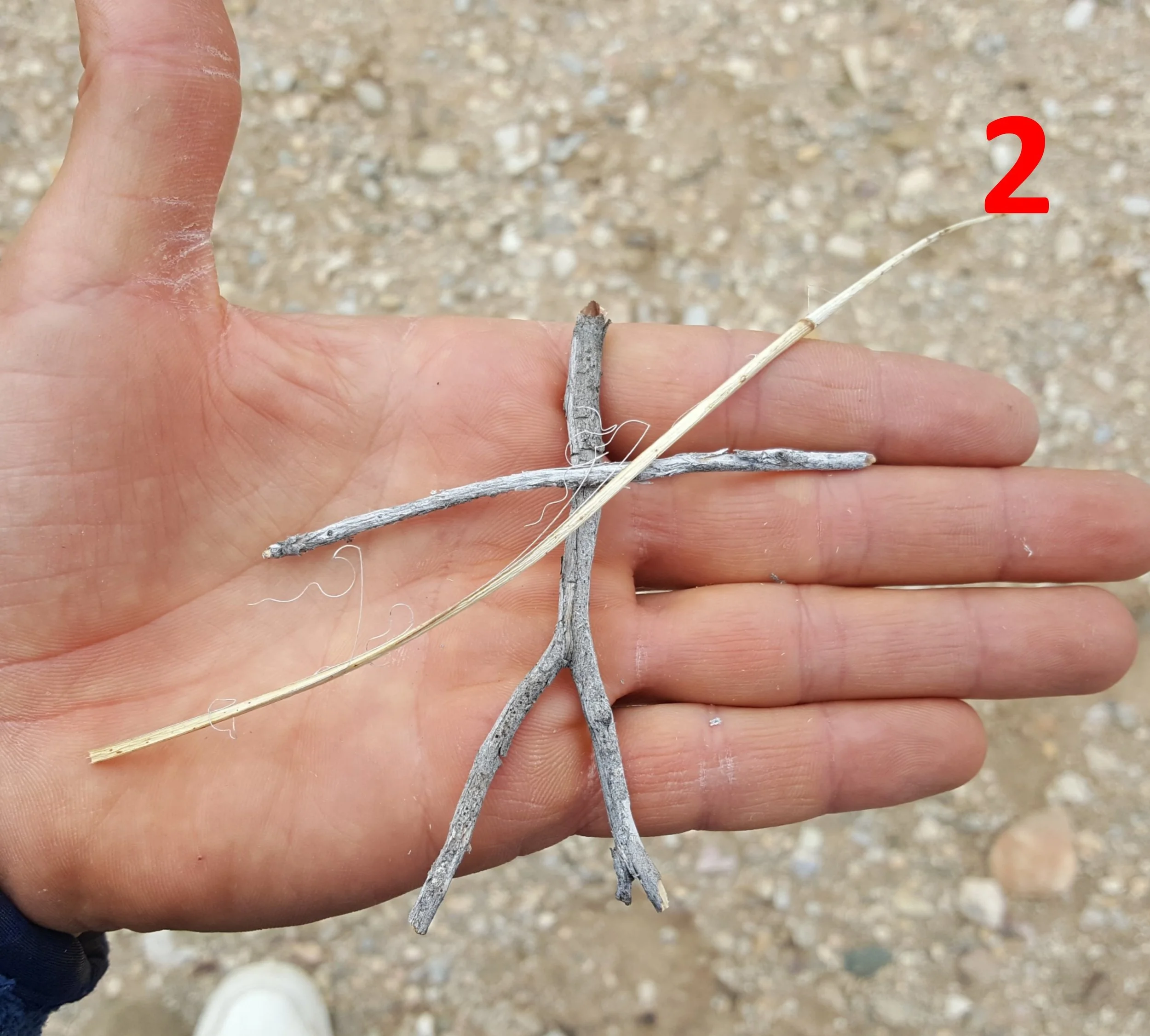 Stick 2.jpg