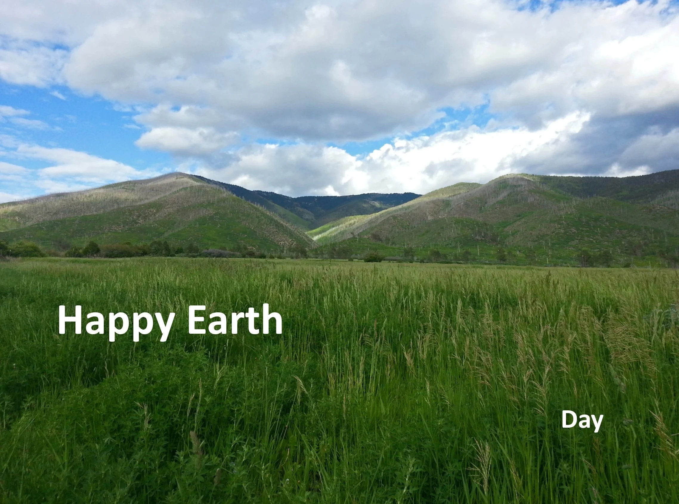 Earth Day.jpg