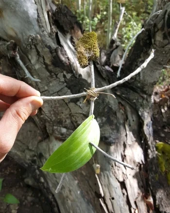 20180617_164415.jpg