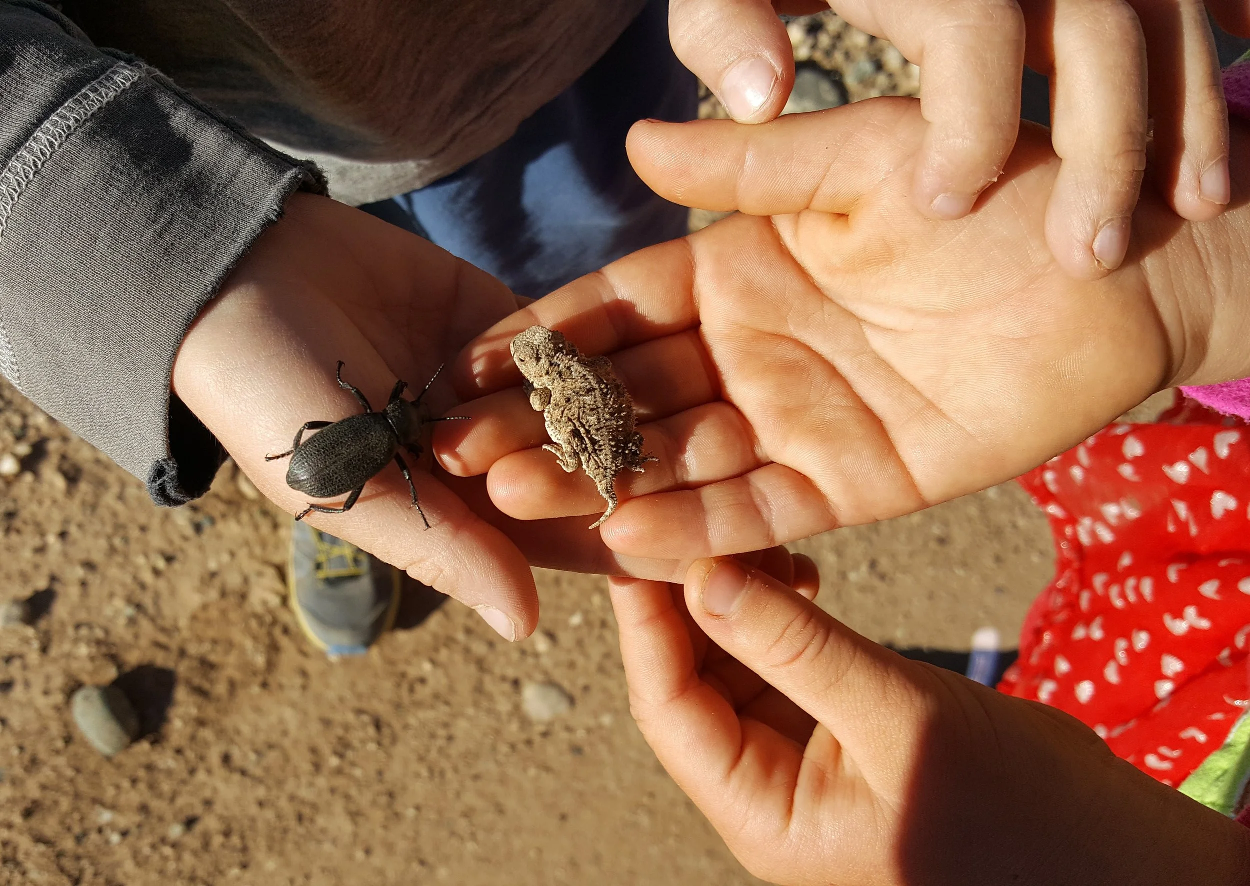 What I love about this photo isn’t so much the tenderness with which these hands are holding two creatures, but the tenderness with which they are holding each other.