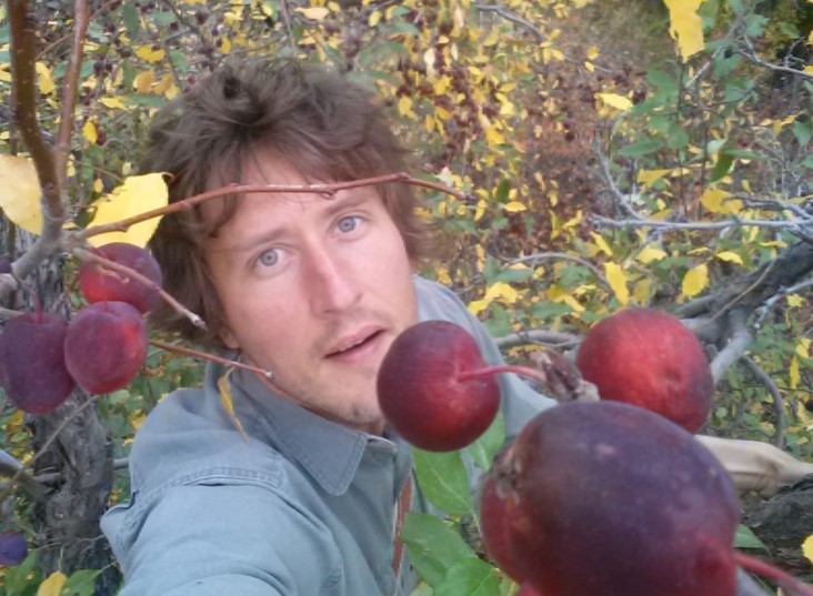 sized apples.jpg