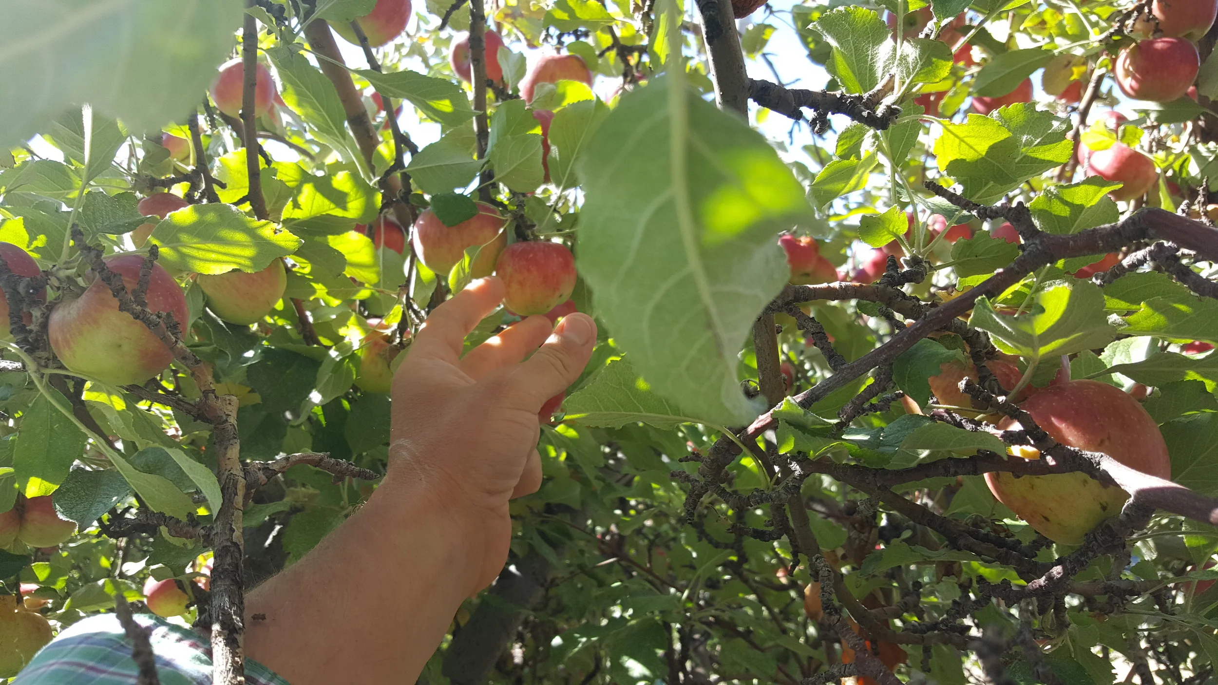 20180922_100304.jpg