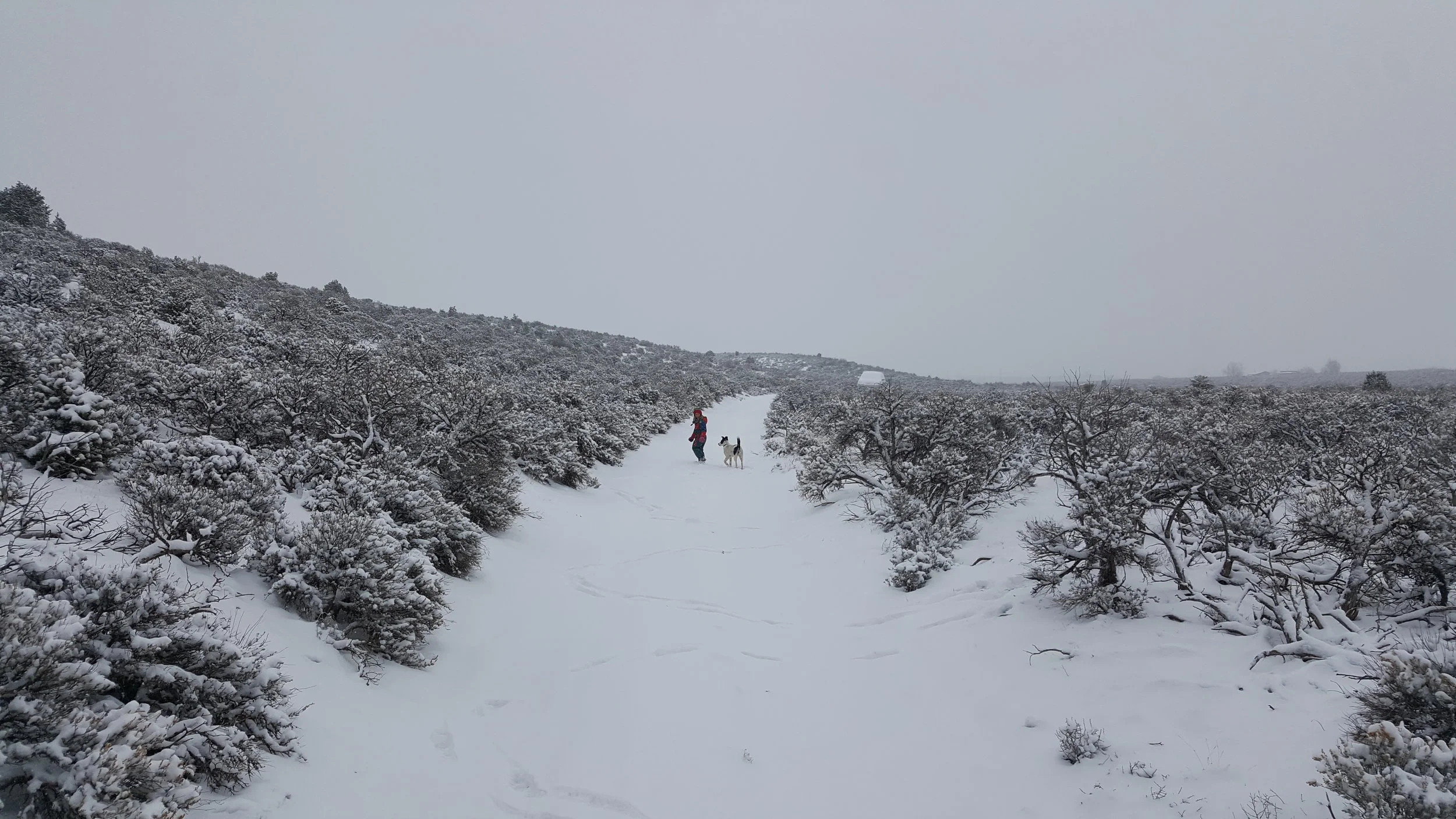 20190219_084014.jpg