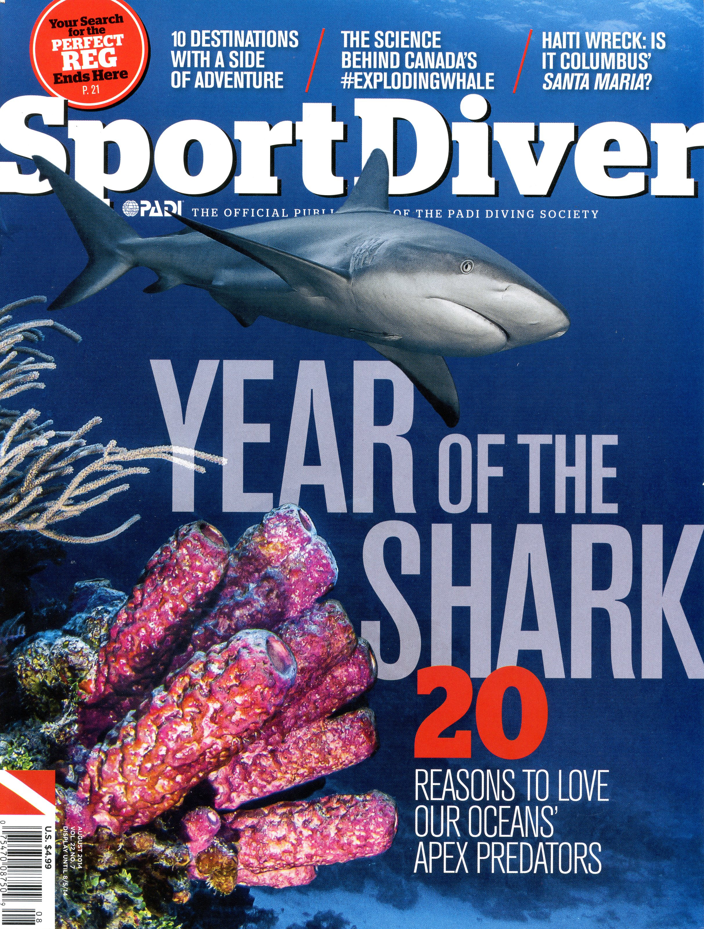 Sportdiver002.jpg