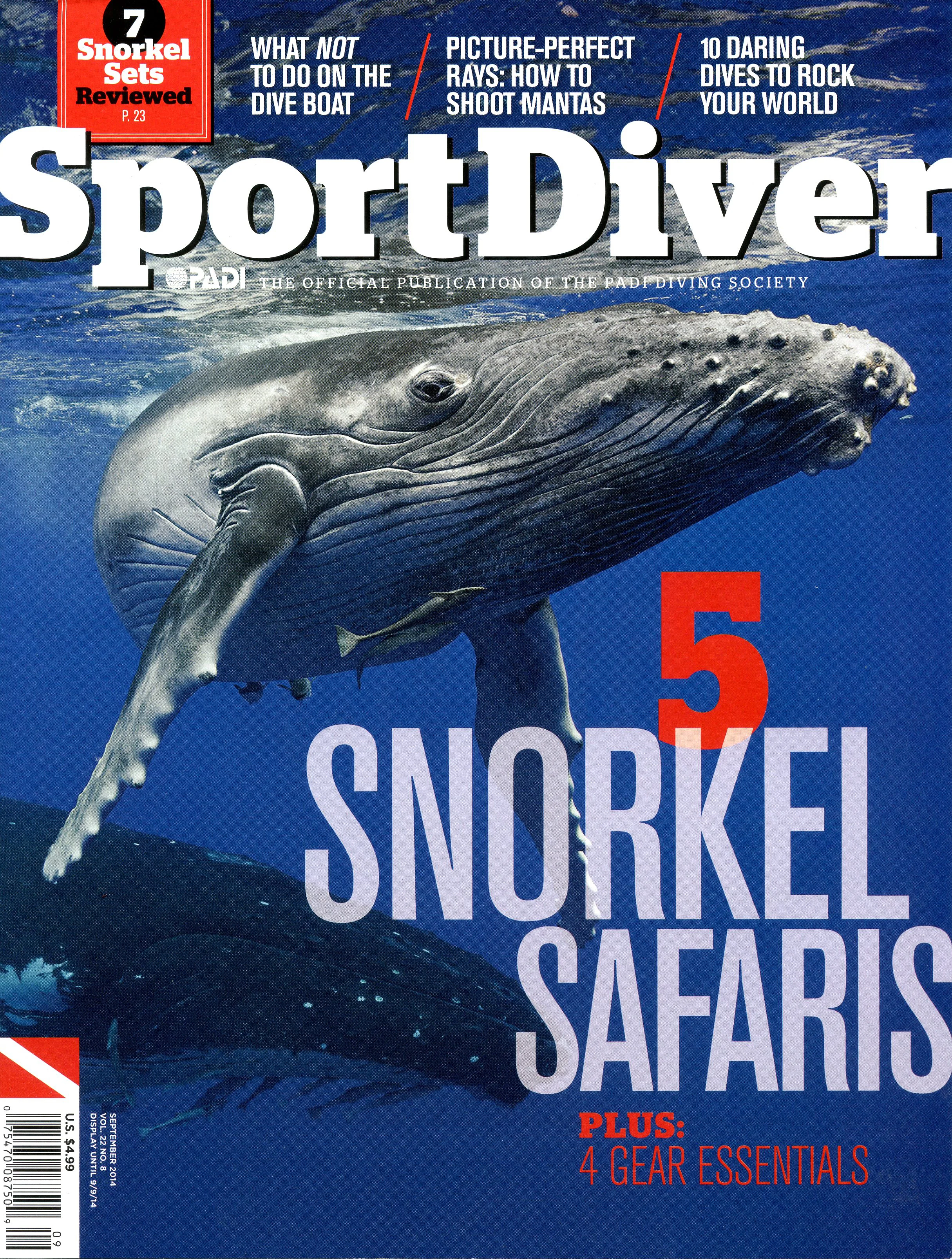 Sportdiver001.jpg