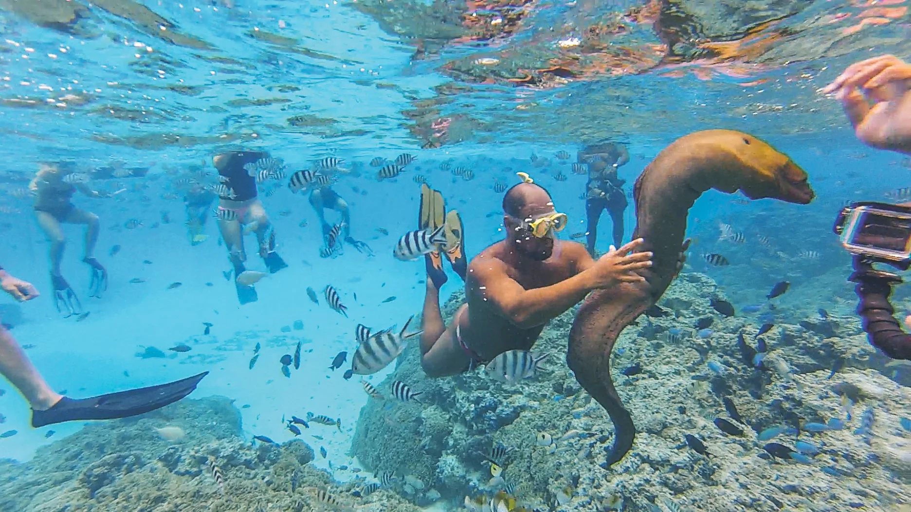 TahitiVideo_-149.jpg