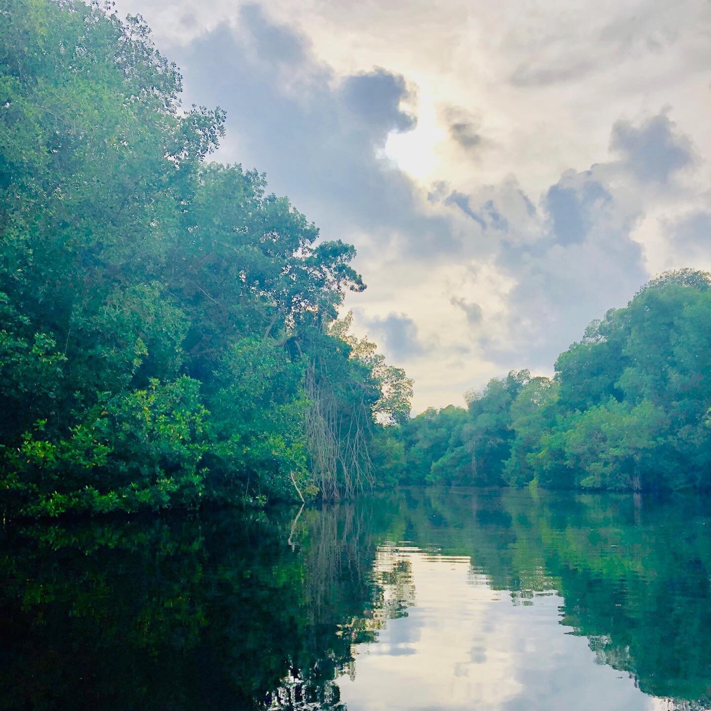 Passionate about climate #mitigation, #adaptation and #naturebasedsolutions?  Come join the @ConservationOrg #BlueCarbon team to develop mangrove projects in Asia-Pacific - based in Singapore - Blue Carbon Science, Asia Pacific Field Division Directo