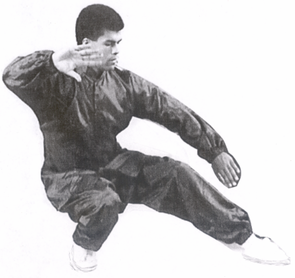 paul low stance.png