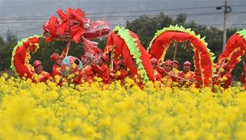 Dragin in Spring.jpg