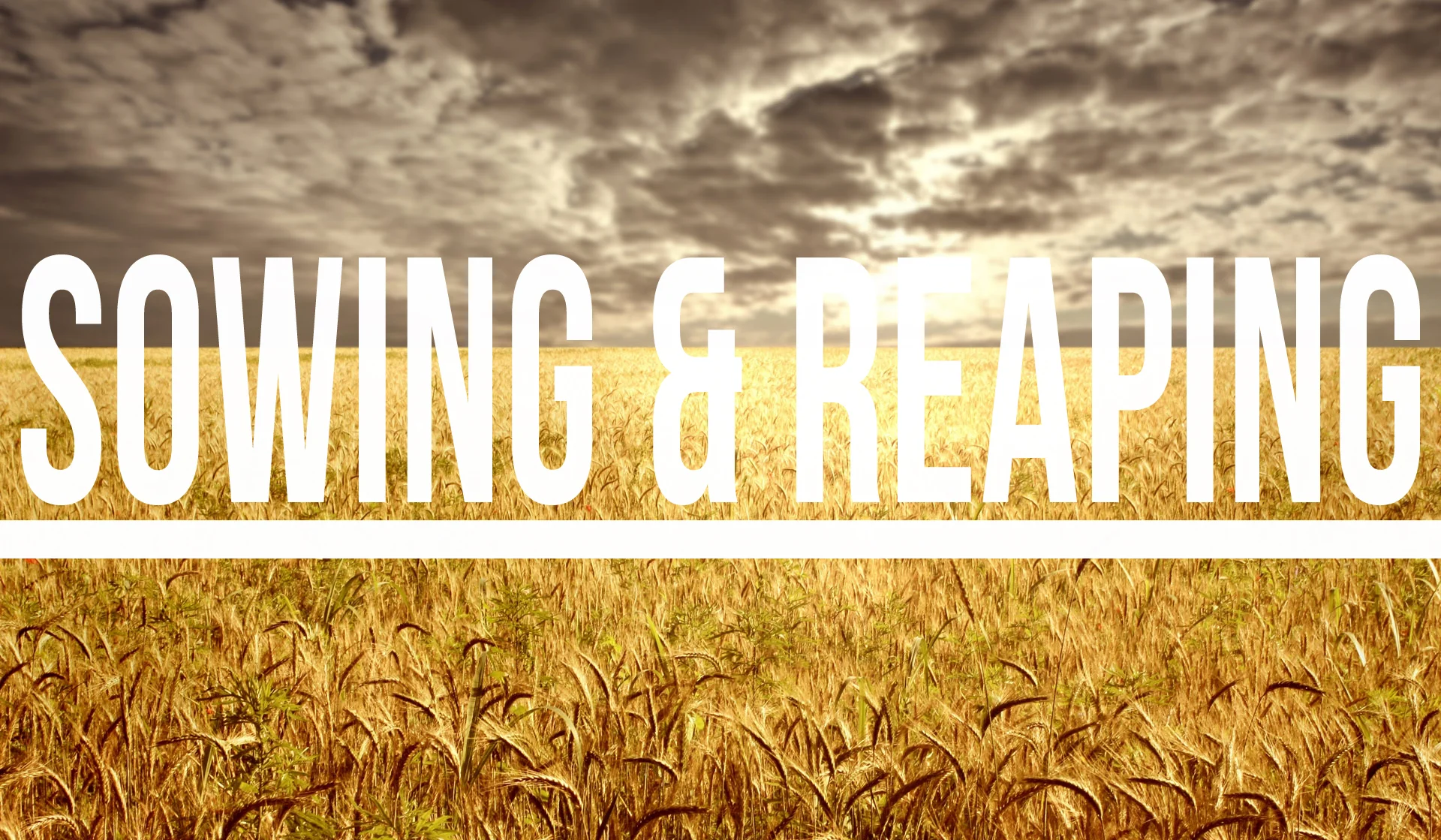 Sowing and Reaping