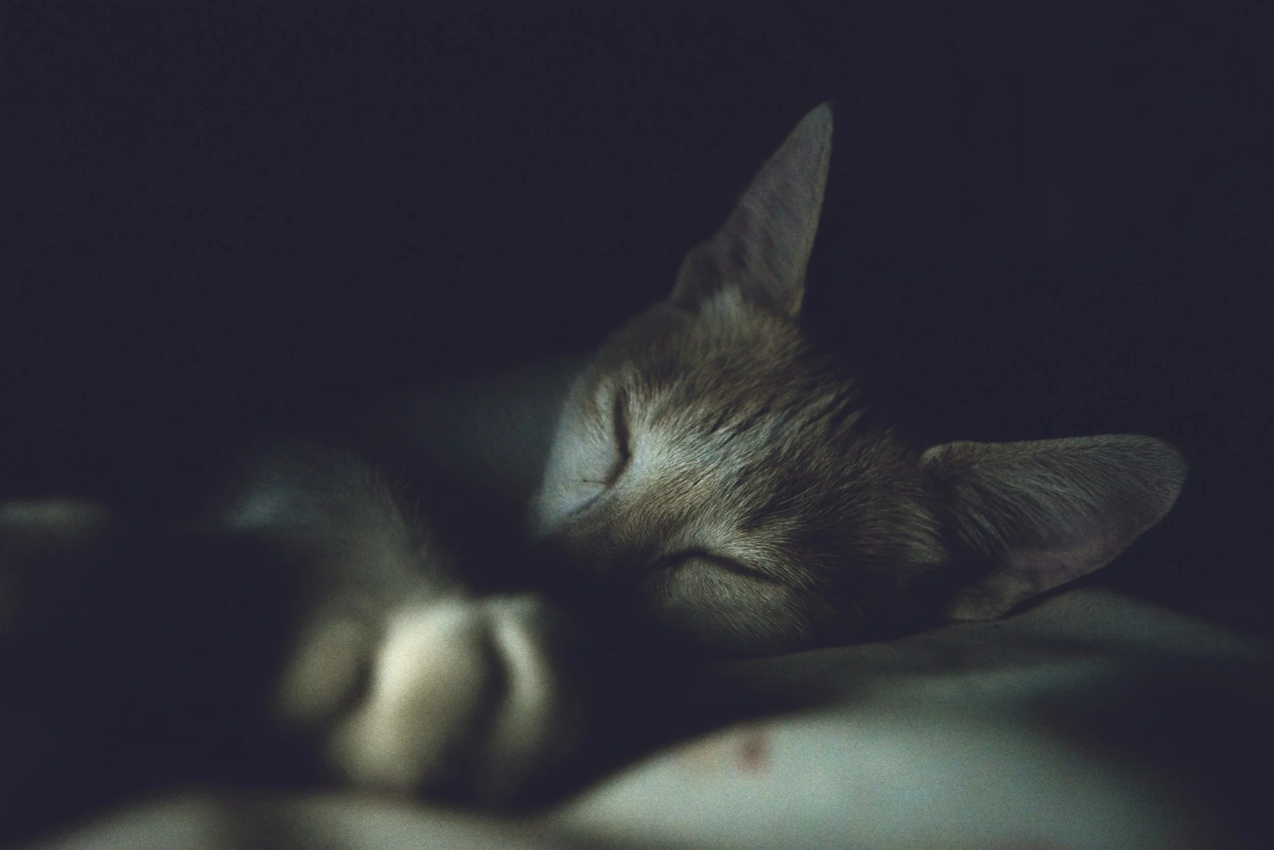 Do You Need Some Rest?